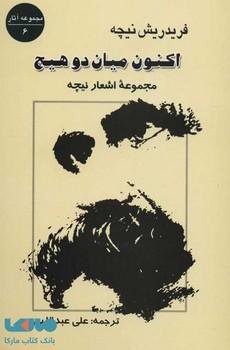 اکنون میان 2 هیچ:مجموعه اشعار نیچه (مجموعه آثار 6)،(شمیز،رقعی،جامی)